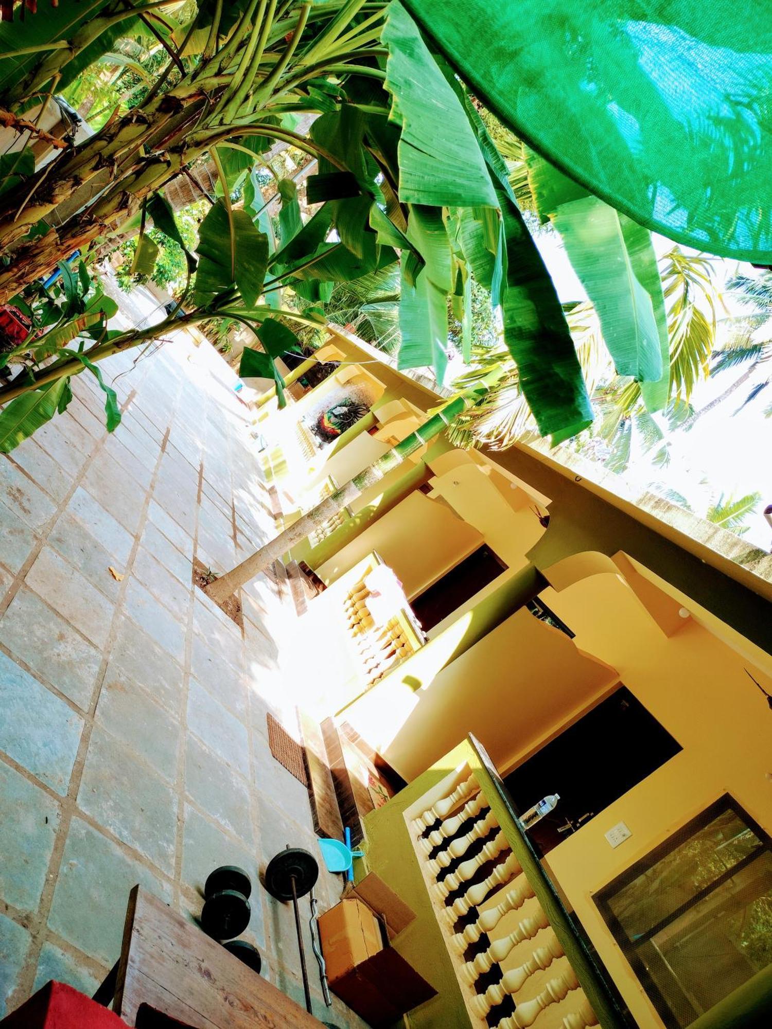 One Love Guest House Morjim Exterior photo